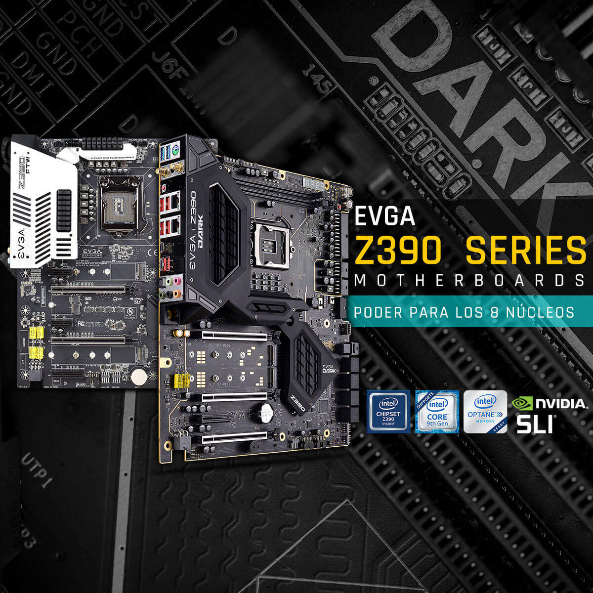 EVGA LATAM Artículos Intel Z390