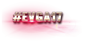 #EVGA17