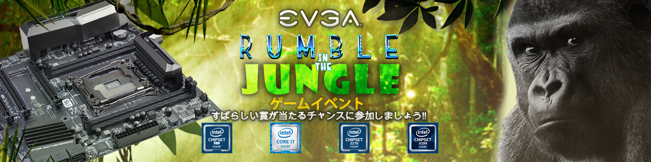 EVGA Rumble in the Jungle ゲームイベント