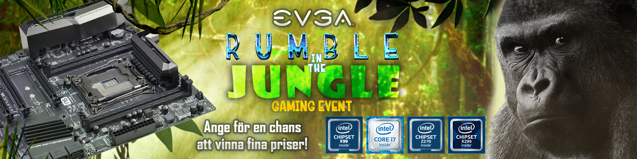 EVGA Rumble in the Jungle Gaming Event