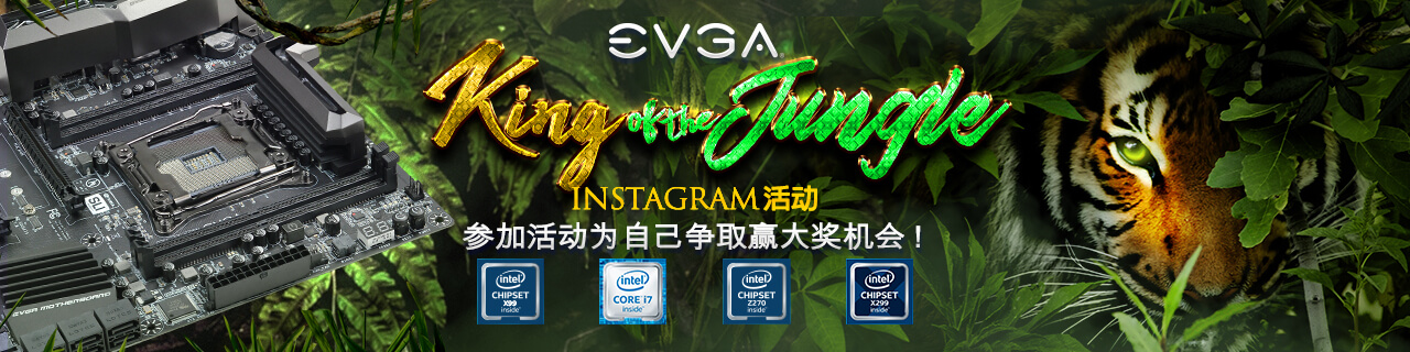 EVGA King of the Jungle Instagram 活动