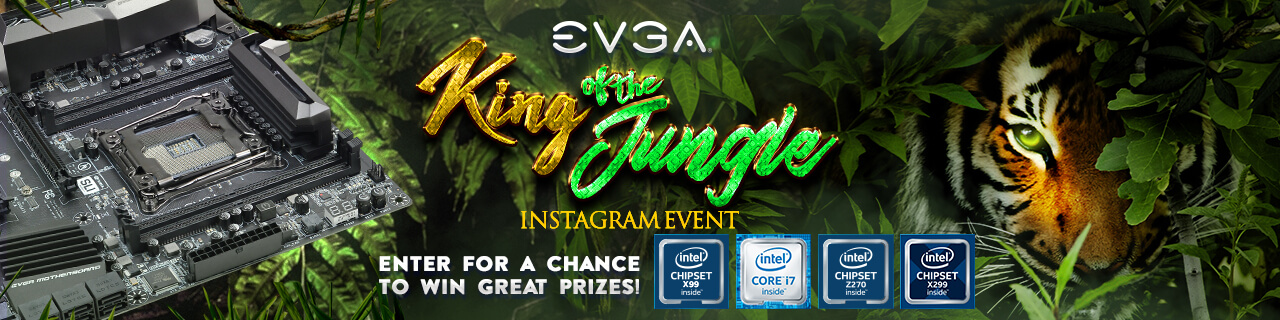 EVGA King of the Jungle Instagram Event
