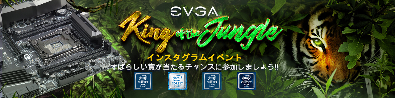 EVGA King of the Jungle インスタグラムイベント