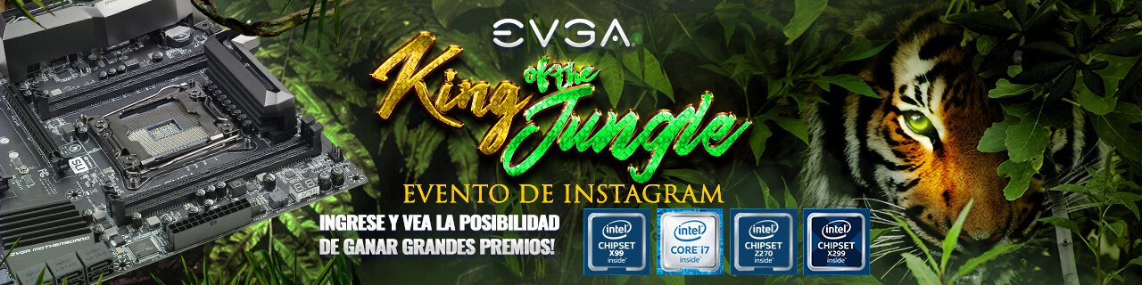 Evento de Instagram EVGA King of the Jungle