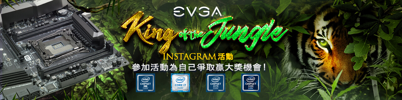 EVGA King of the Jungle Instagram Event