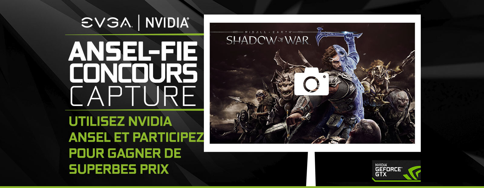 EVGA and NVIDIA® ANSEL-FIE Concours Capture