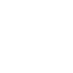 DICE