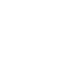 DeepSilver