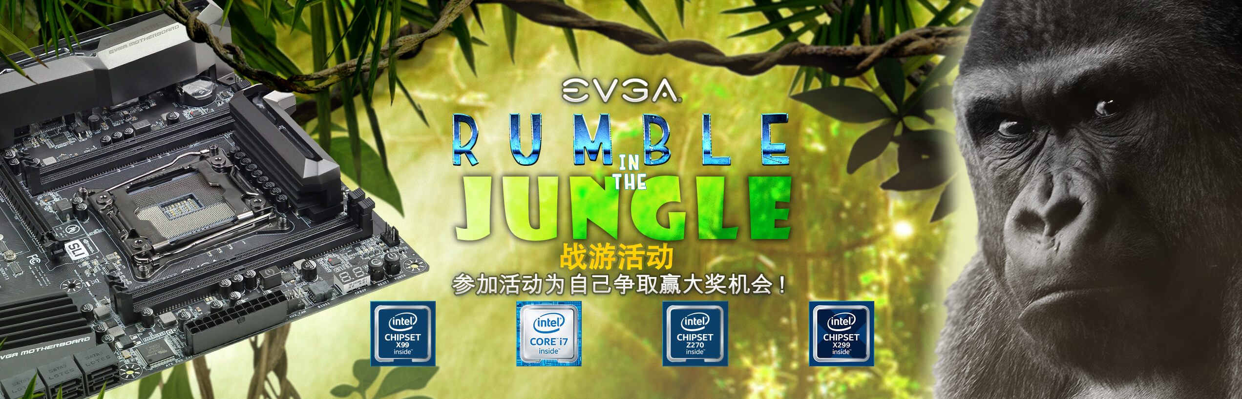 EVGA Rumble in the Jungle Gaming Event