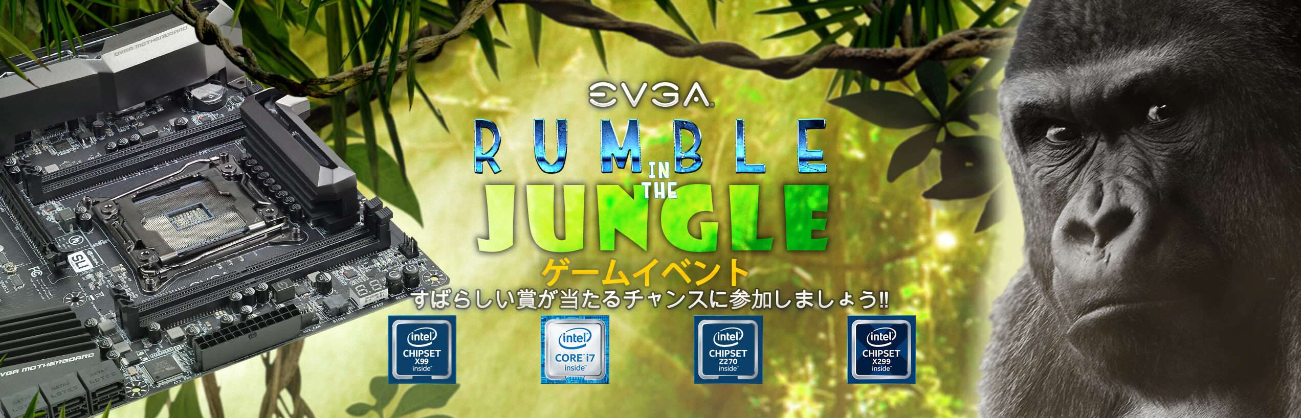 EVGA Rumble in the Jungle ゲームイベント