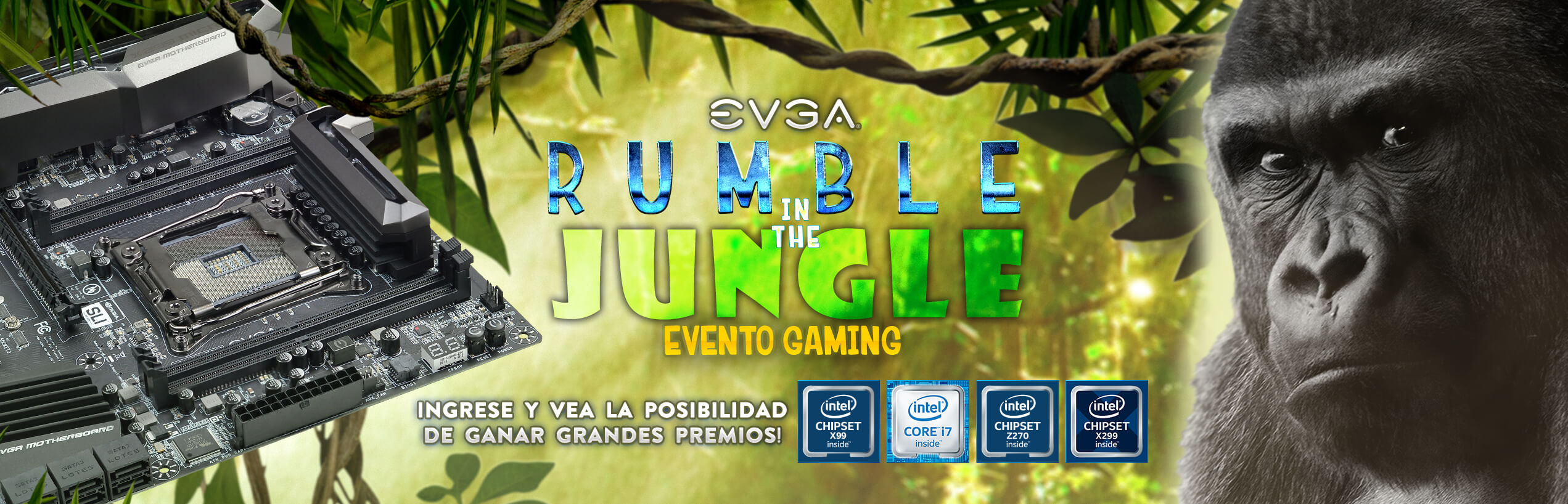 EVGA Rumble in the Jungle Gaming Event