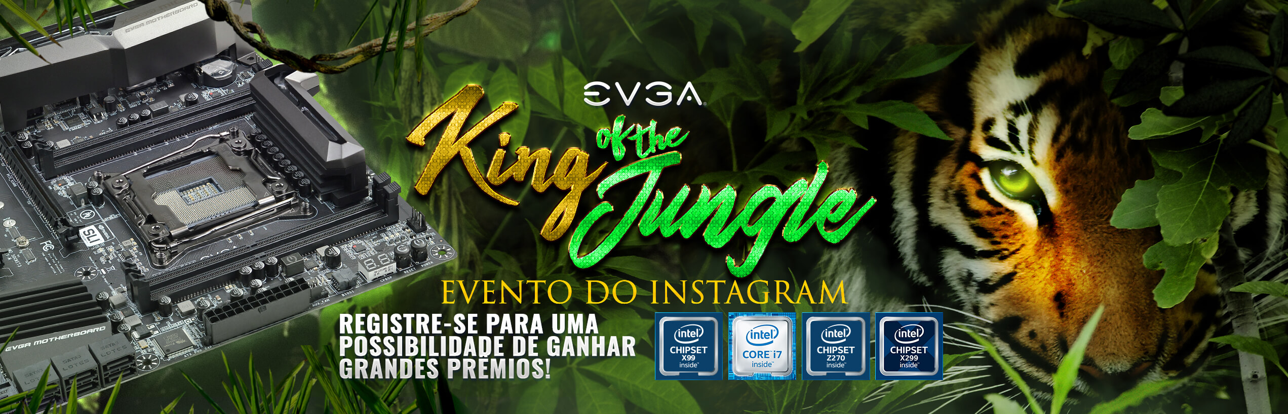 EVGA King of the Jungle Instagram Event