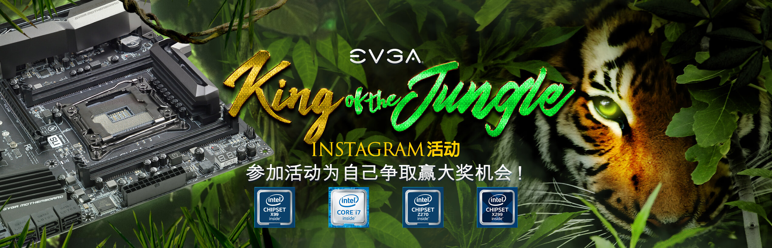 EVGA King of the Jungle Instagram 活动!