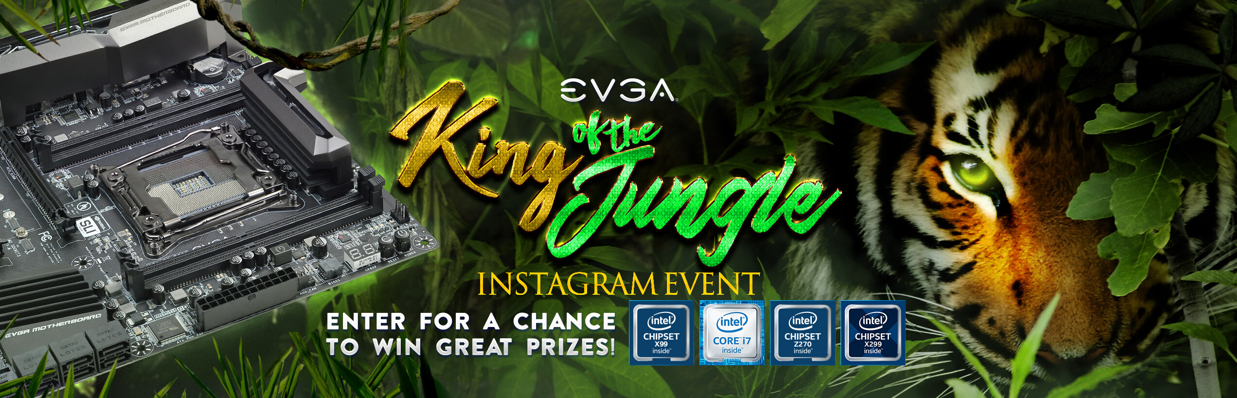 EVGA King of the Jungle Instagram Event