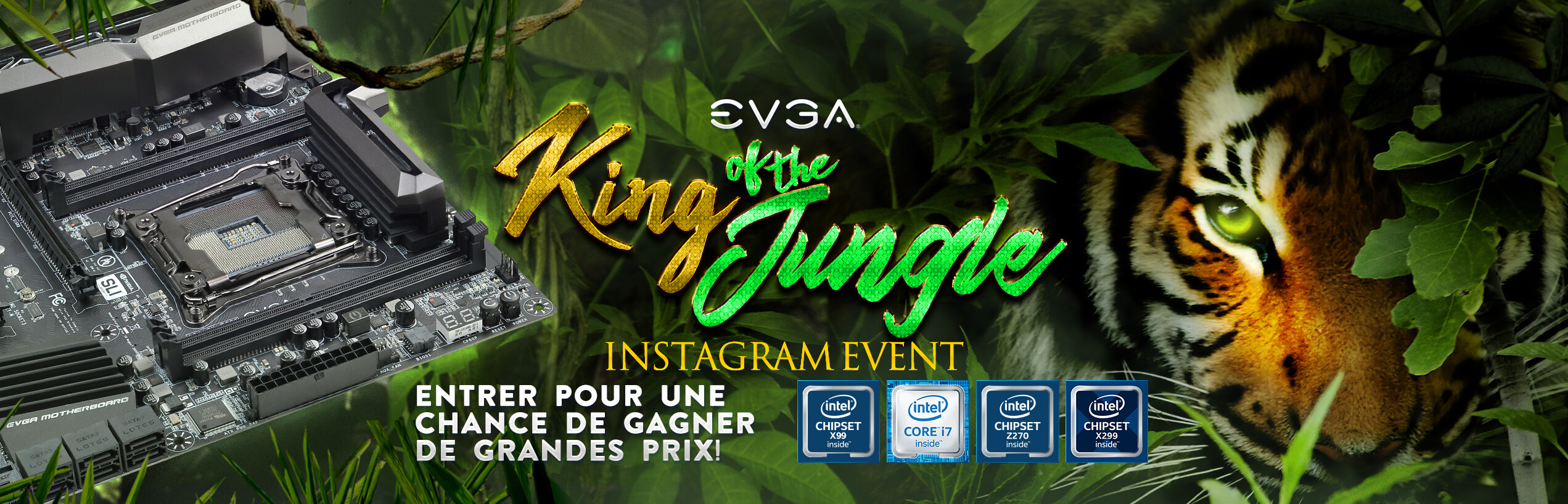 EVGA King of the Jungle Instagram Event