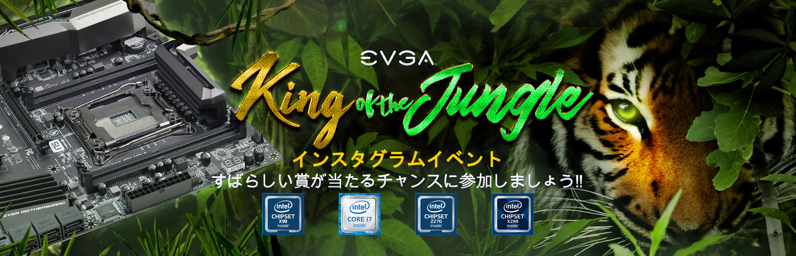 EVGA King of the Jungle インスタグラムイベント!