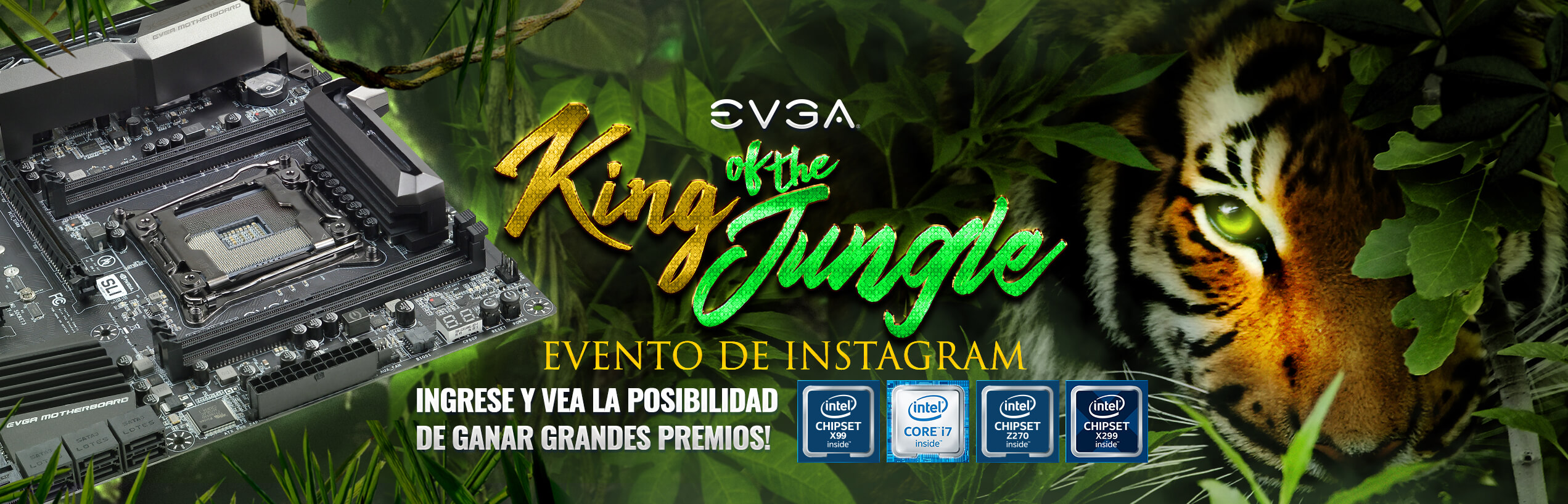 EVGA King of the Jungle Instagram Event