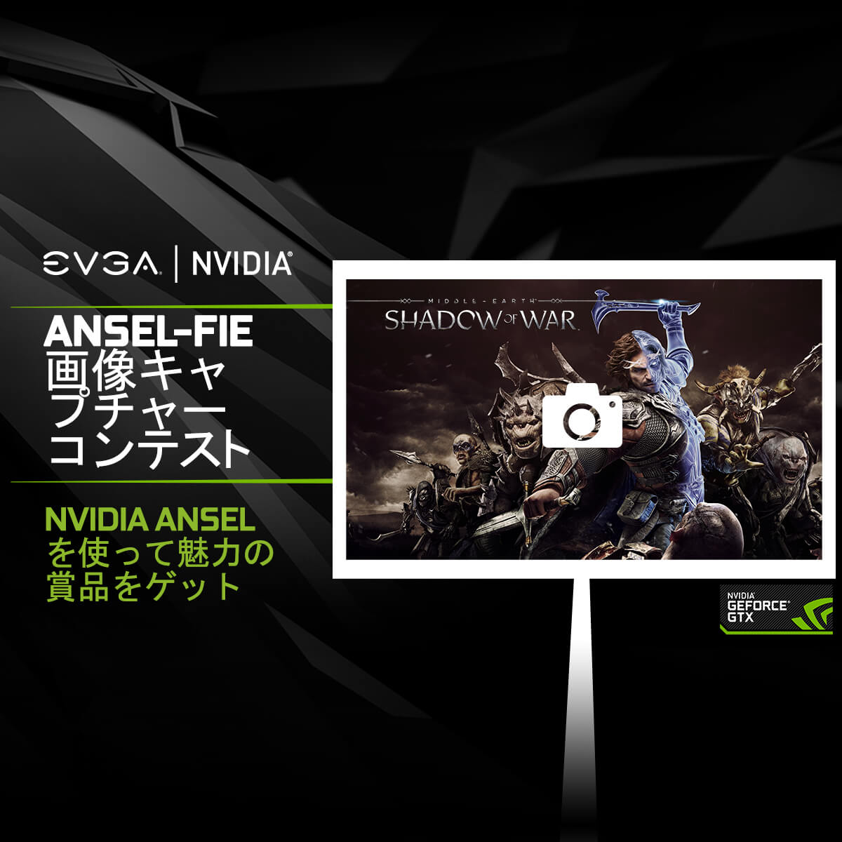 EVGA and NVIDIA® ANSEL-FIE 画像キャプチャーコンテスト