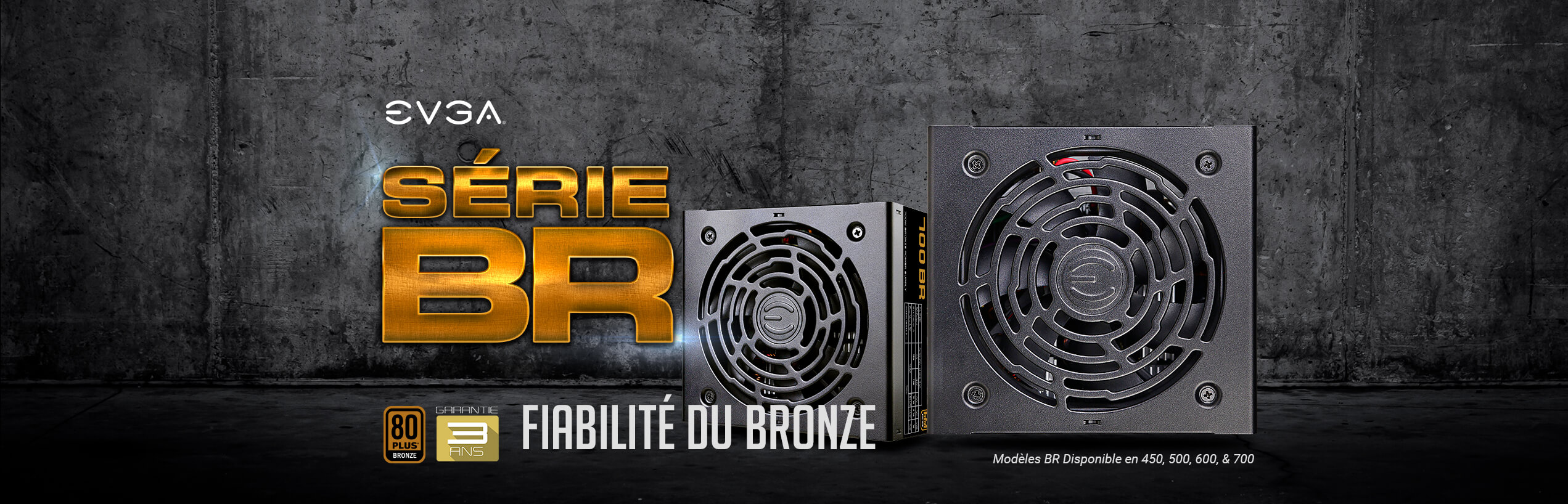 EVGA BR Power Supply