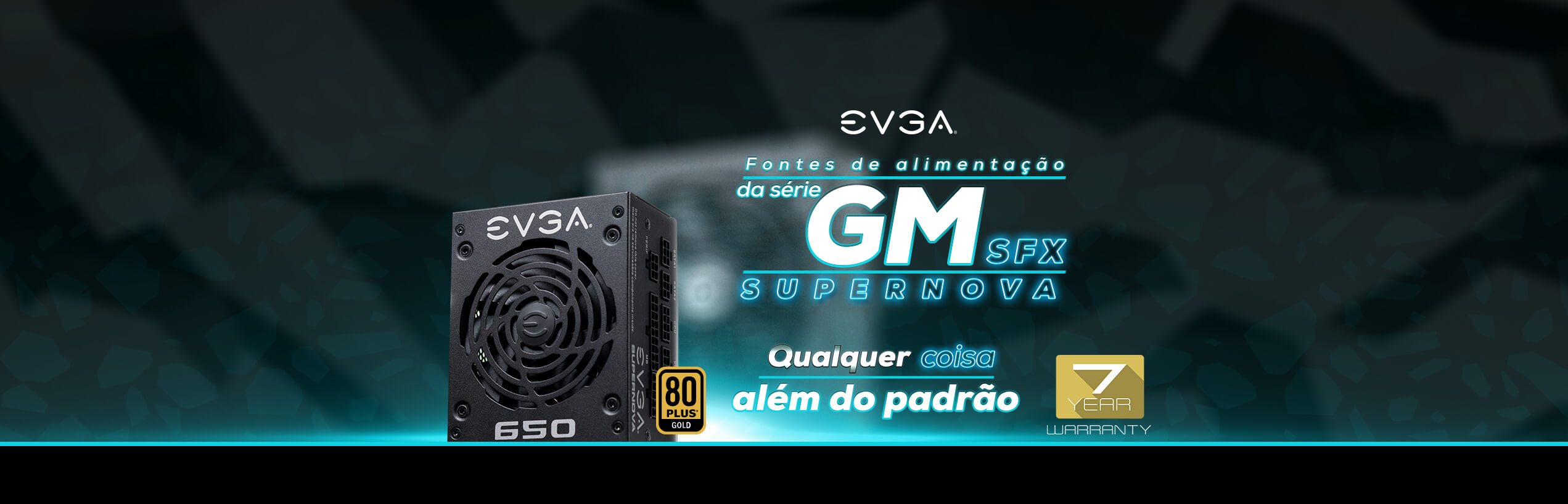 EVGA GM Power Supply