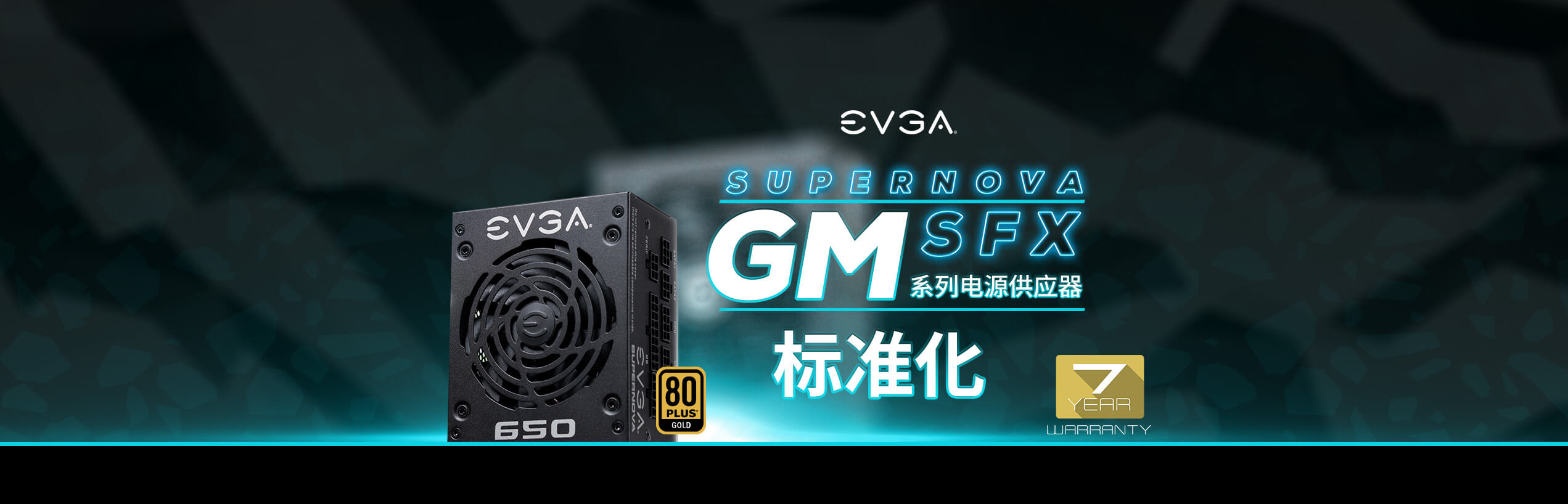 EVGA GM 电源供应器