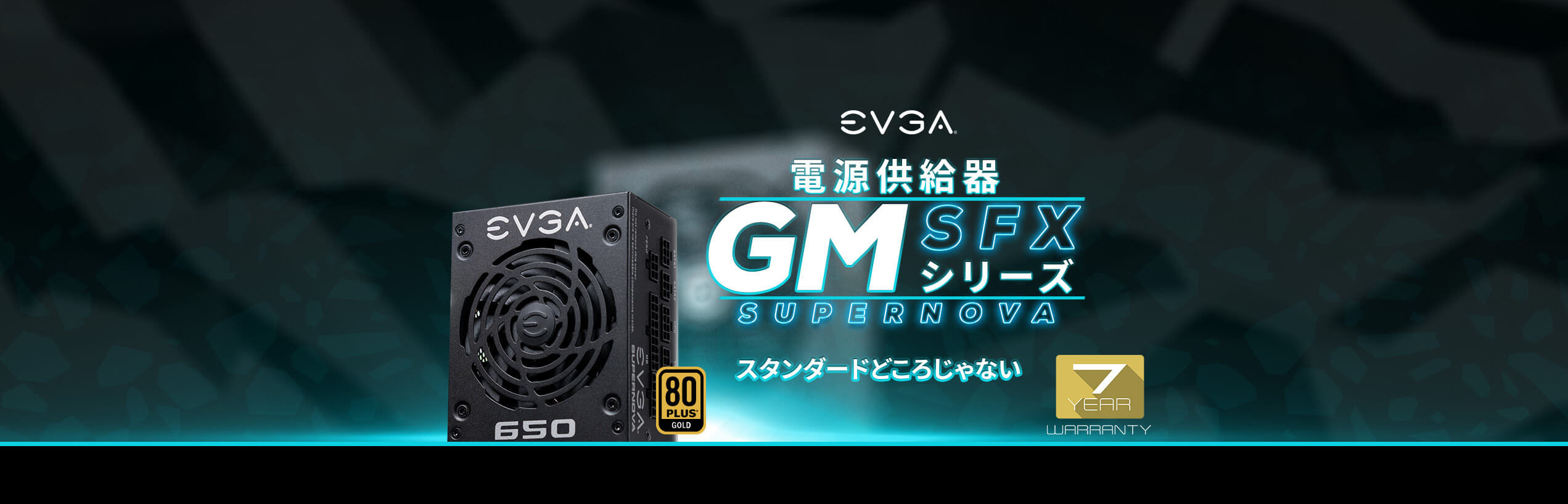 EVGA GM 電源供給器