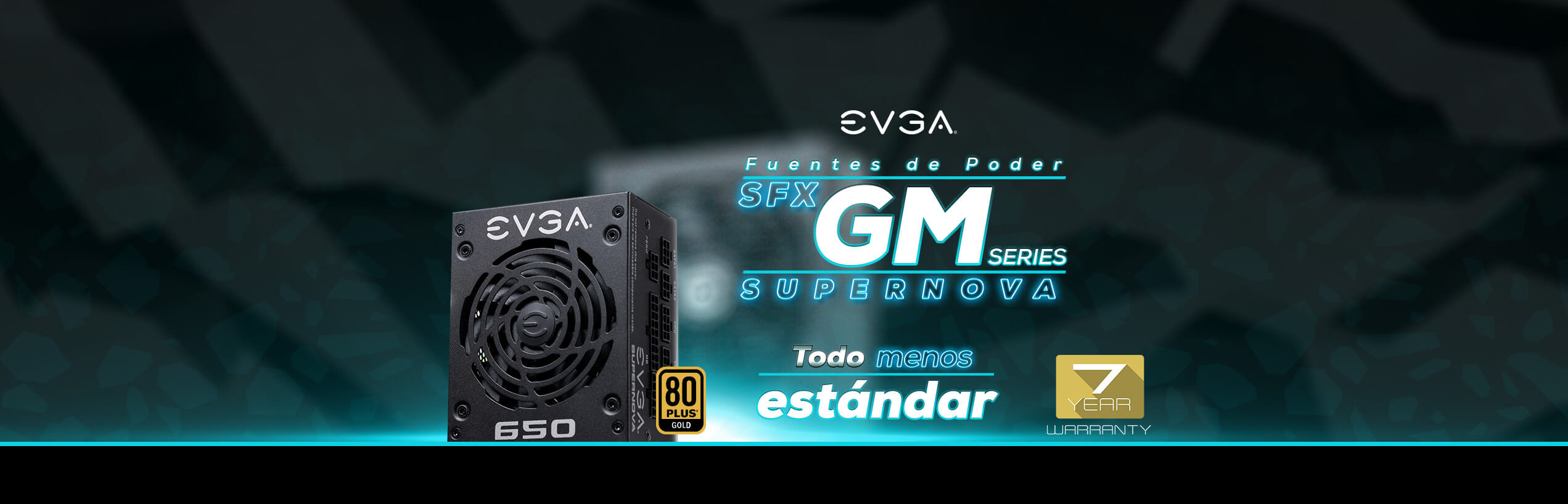 EVGA GM Power Supply